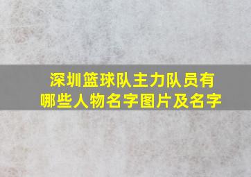 深圳篮球队主力队员有哪些人物名字图片及名字