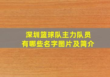 深圳篮球队主力队员有哪些名字图片及简介