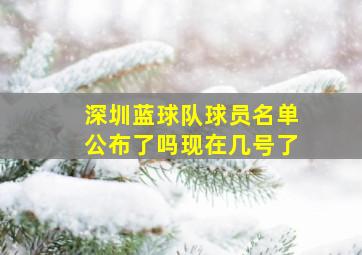 深圳蓝球队球员名单公布了吗现在几号了