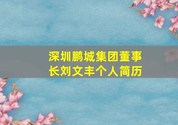 深圳鹏城集团董事长刘文丰个人简历