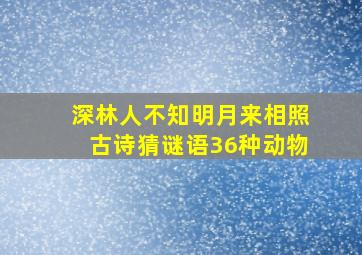 深林人不知明月来相照古诗猜谜语36种动物