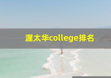 渥太华college排名