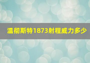 温彻斯特1873射程威力多少