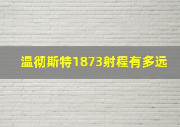 温彻斯特1873射程有多远