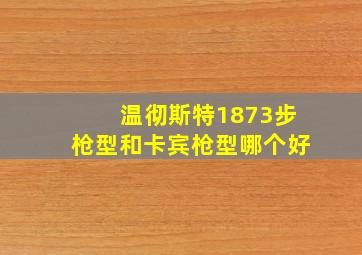 温彻斯特1873步枪型和卡宾枪型哪个好