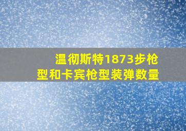 温彻斯特1873步枪型和卡宾枪型装弹数量