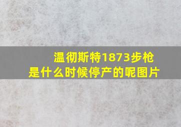 温彻斯特1873步枪是什么时候停产的呢图片