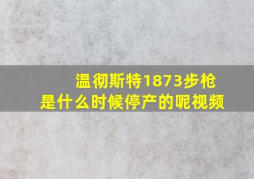 温彻斯特1873步枪是什么时候停产的呢视频