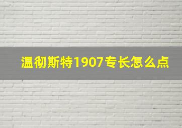 温彻斯特1907专长怎么点