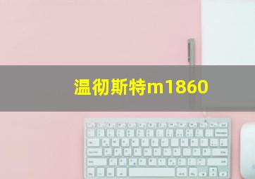 温彻斯特m1860