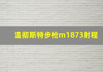 温彻斯特步枪m1873射程