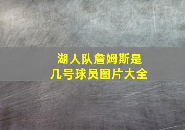 湖人队詹姆斯是几号球员图片大全