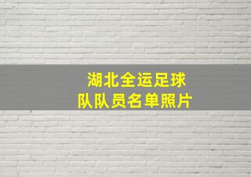 湖北全运足球队队员名单照片