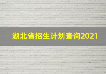 湖北省招生计划查询2021