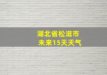 湖北省松滋市未来15天天气