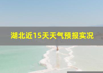 湖北近15天天气预报实况