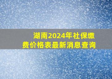 湖南2024年社保缴费价格表最新消息查询