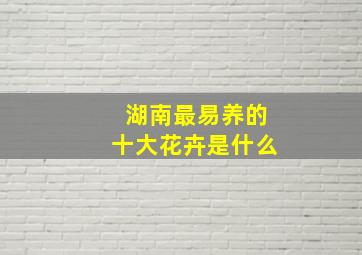 湖南最易养的十大花卉是什么