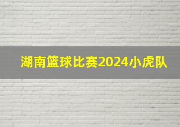 湖南篮球比赛2024小虎队