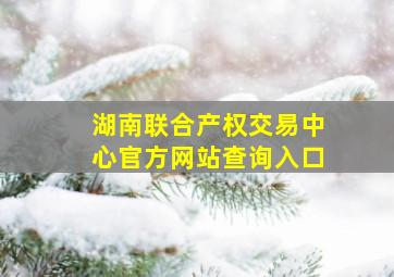 湖南联合产权交易中心官方网站查询入口