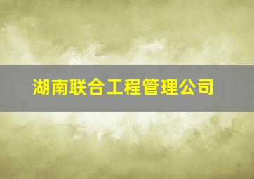 湖南联合工程管理公司