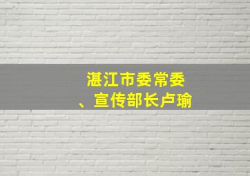 湛江市委常委、宣传部长卢瑜