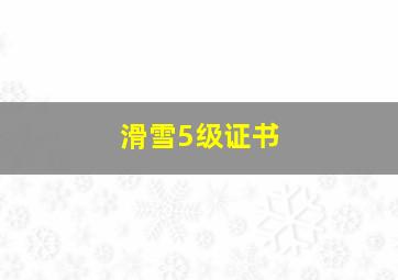 滑雪5级证书