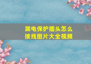 漏电保护插头怎么接线图片大全视频