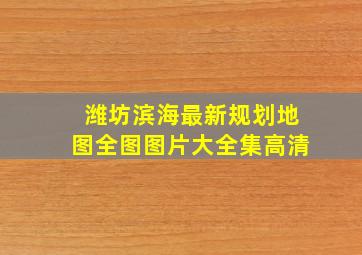 潍坊滨海最新规划地图全图图片大全集高清