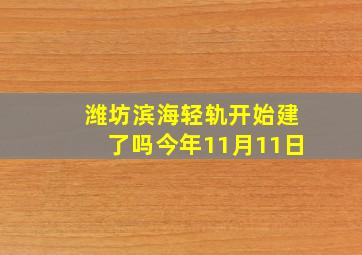 潍坊滨海轻轨开始建了吗今年11月11日