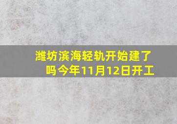 潍坊滨海轻轨开始建了吗今年11月12日开工