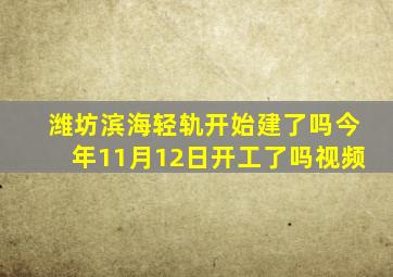 潍坊滨海轻轨开始建了吗今年11月12日开工了吗视频