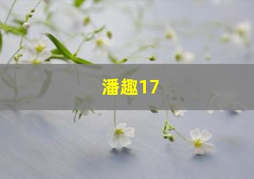 潘趣17