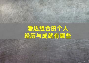 潘达组合的个人经历与成就有哪些