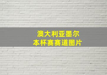 澳大利亚墨尔本杯赛赛道图片