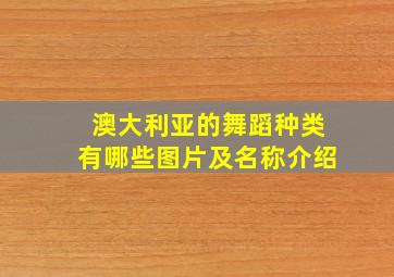 澳大利亚的舞蹈种类有哪些图片及名称介绍