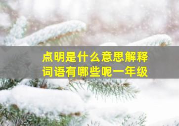 点明是什么意思解释词语有哪些呢一年级