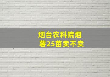 烟台农科院烟薯25苗卖不卖