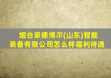 烟台豪德博尔(山东)智能装备有限公司怎么样福利待遇