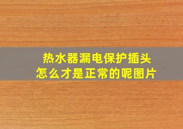 热水器漏电保护插头怎么才是正常的呢图片