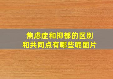 焦虑症和抑郁的区别和共同点有哪些呢图片