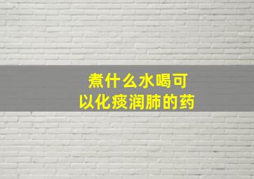 煮什么水喝可以化痰润肺的药