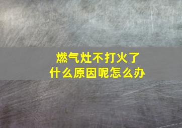 燃气灶不打火了什么原因呢怎么办