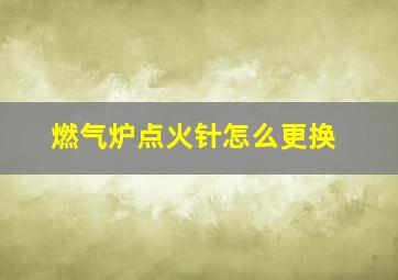 燃气炉点火针怎么更换