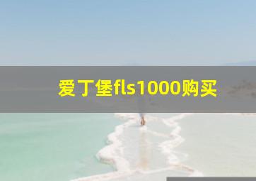 爱丁堡fls1000购买