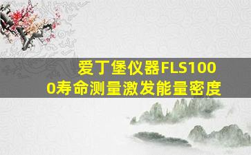 爱丁堡仪器FLS1000寿命测量激发能量密度