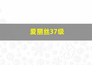 爱丽丝37级