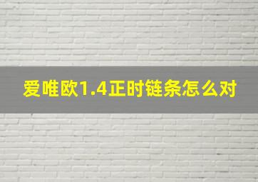 爱唯欧1.4正时链条怎么对