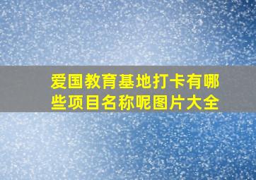 爱国教育基地打卡有哪些项目名称呢图片大全