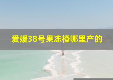 爱媛38号果冻橙哪里产的